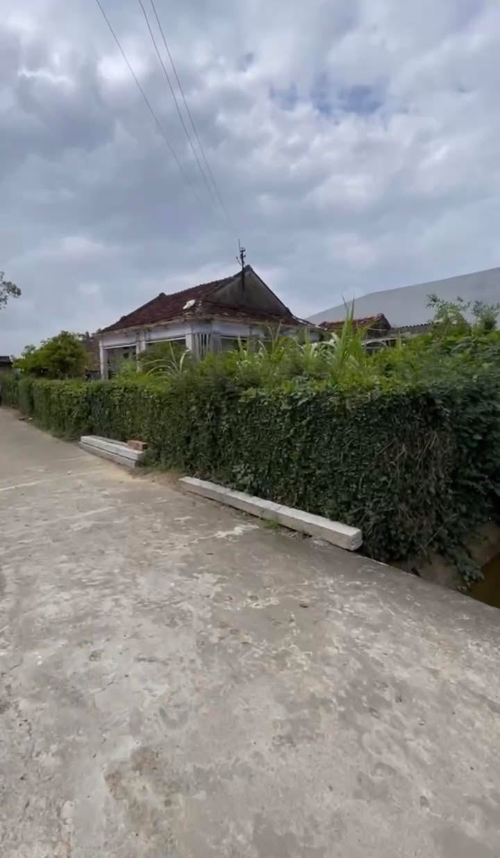 Đất nền Phước Nghĩa Tuy Phước 85m² từ 606 triệu - Sổ đỏ sẵn sàng