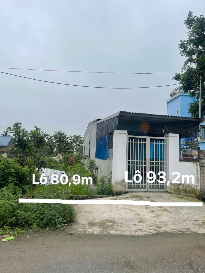 Bán Đất Lô Đôi Mặt Tỉnh Lộ 419 Ứng Hòa, Hà Nội - 174.1m²