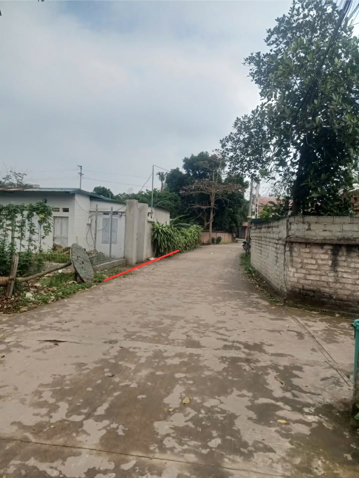 Đất nền Lạng Giang 172m² - Đón đầu cơ hội đầu tư sinh lời!