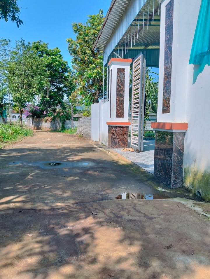 Đất Vàng 630m² Xã Tây Hiếu, Nghĩa Đàn - Gần BV Tây Bắc, Cơ Hội An Cư & Đầu Tư