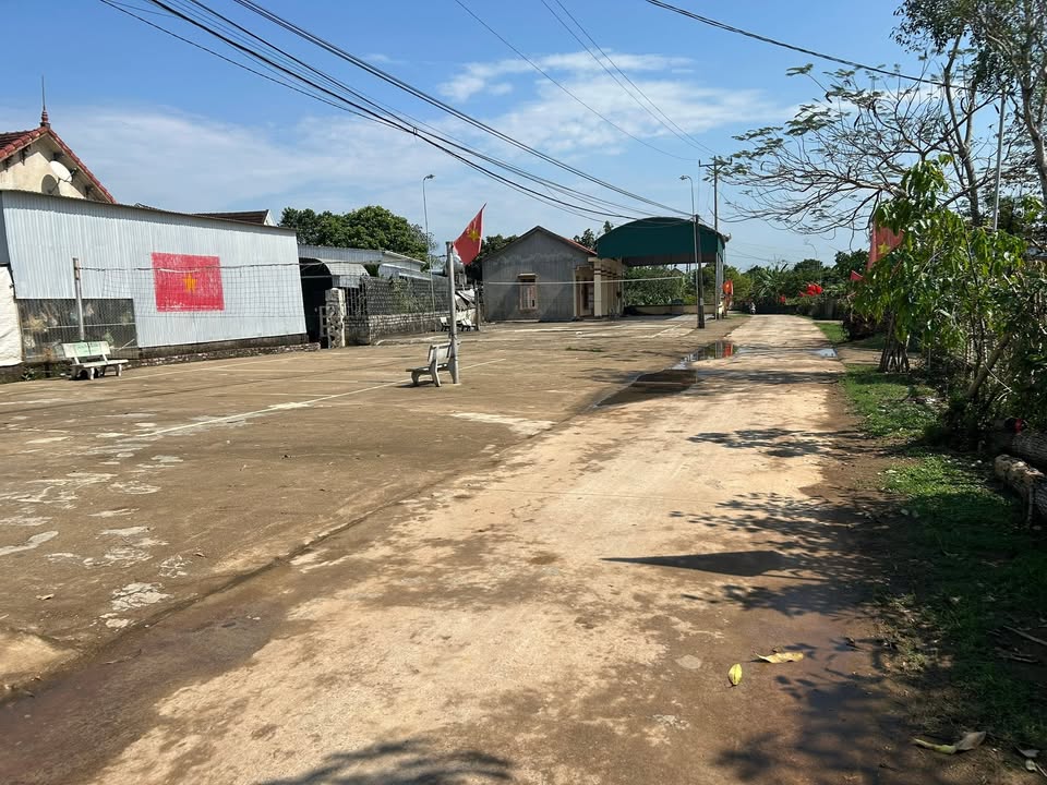 Đất nền Nghĩa Đàn 245m² - Hơn 200 Triệu, Gần Chợ & Trường