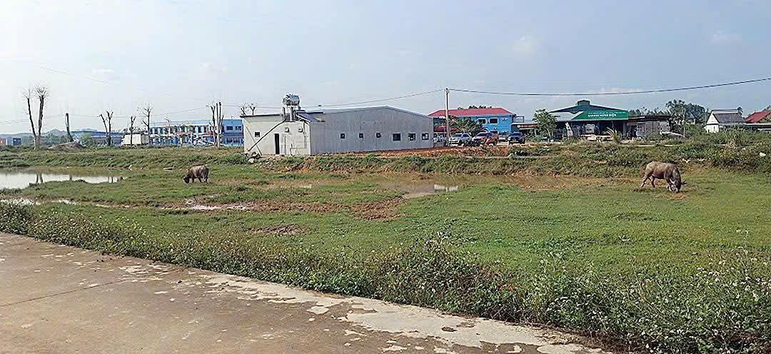 Đất nền Nghĩa Đàn 256m² giá 1 tỷ - Tiềm năng tăng giá!