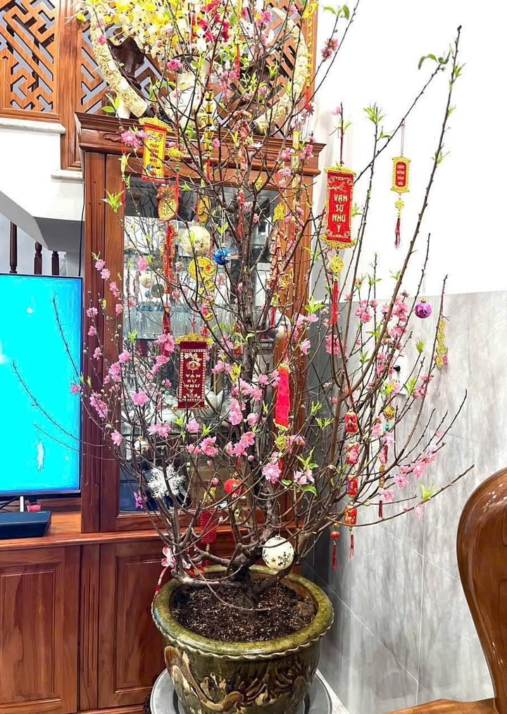 Nhà Riêng P.9 Vũng Tàu 90m² - Ô tô vào tận nhà, sẵn sàng ở ngay!