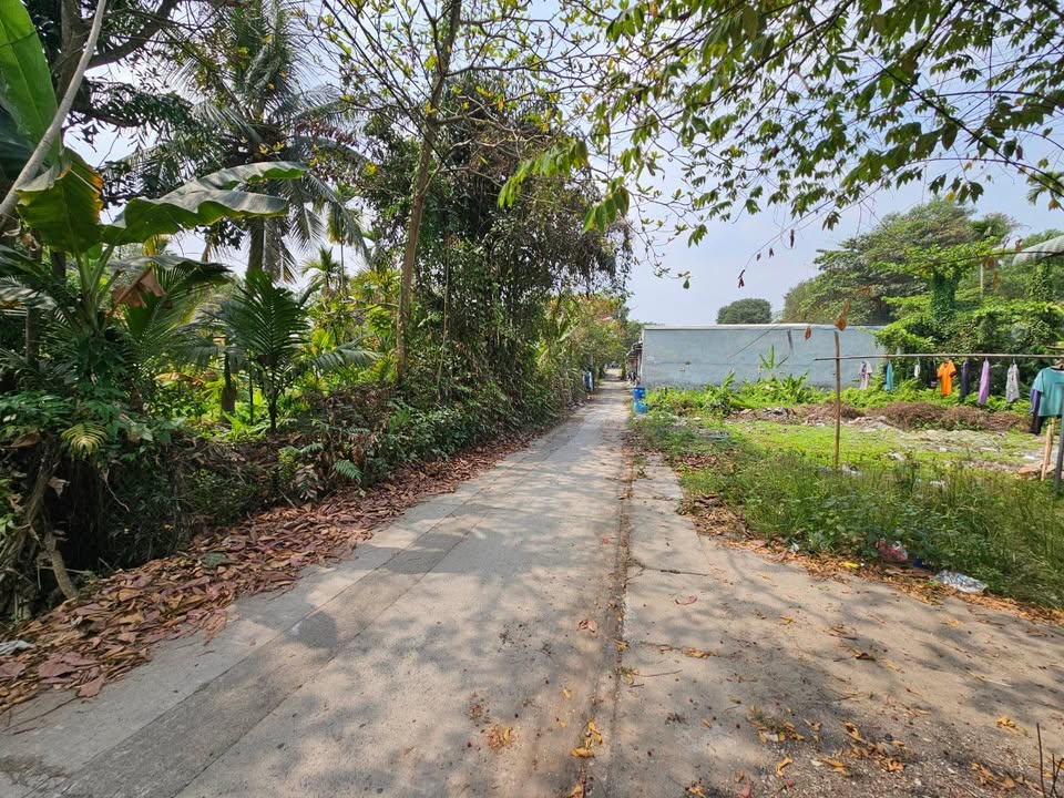 Nhà Phố Mặt Tiền Long Thành 203m² - Vị Trí Đắc Địa, Kinh Doanh Vàng!