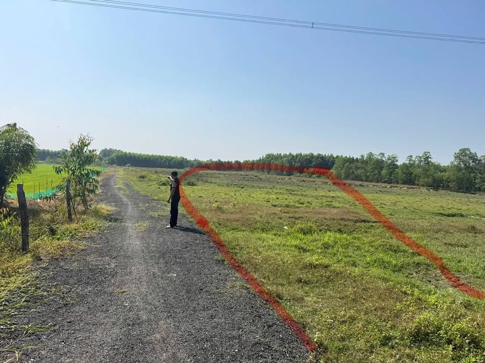 Đất nền Phước An Nhơn Trạch 1000m² Giá F0 CĐT – Sổ hồng sẵn sàng!