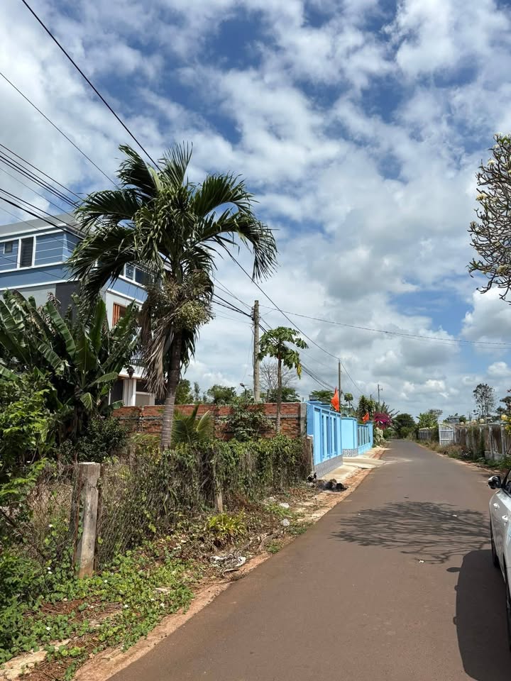 Đất Vĩnh Cửu 989.4m² Sổ Thổ Cư - 3.1 Tỷ - Gần Biển Hồ Tràm