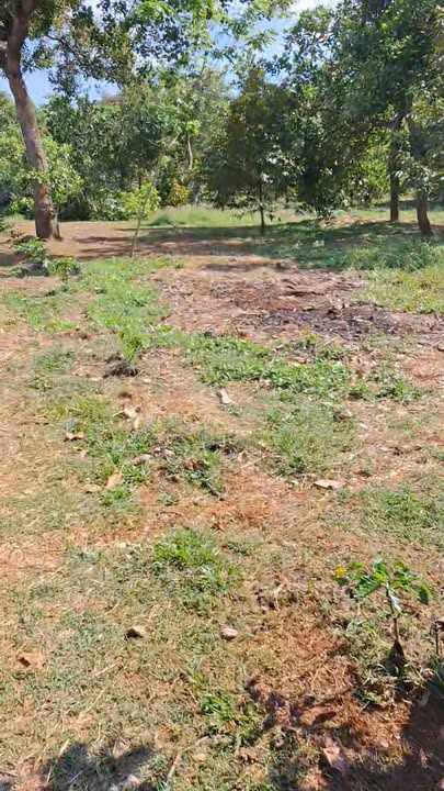 Đất Vườn Bom Bo 4.1ha - 6.847 tỷ - Tiềm năng sinh lời bền vững