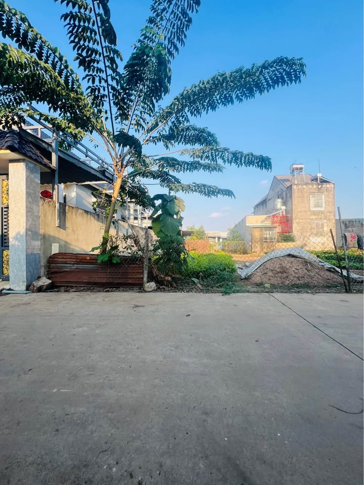 Đất nền Trảng Bom 98m² 790 triệu - Sổ đỏ chính chủ