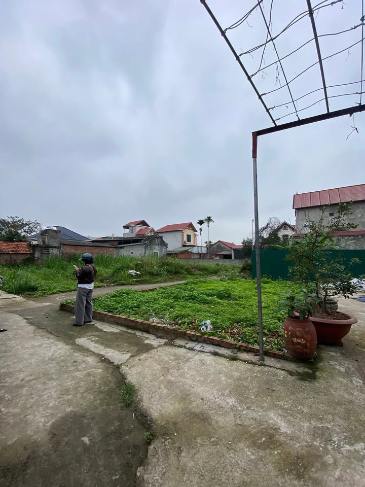 Đất Nền Phúc Thọ 50m² - Sổ Đỏ Sẵn Sàng - Giá Đầu Tư 2 Tỷ