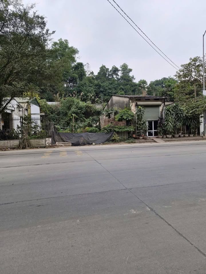 Đất Vàng QL3 Phú Lương 156m² - Mặt Tiền 8.7m Hướng Đông Bắc - Giá 3.6 Tỷ