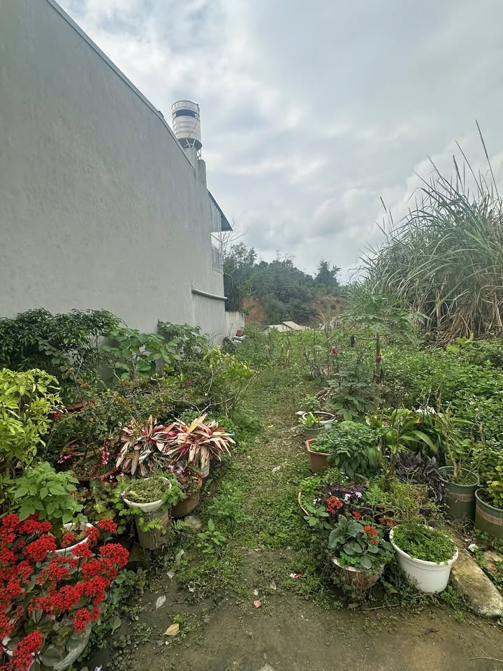 Đất 100m² Full Thổ Cư TP Bắc Kạn - Chỉ 400 Triệu, Sổ Đỏ Sẵn Sàng