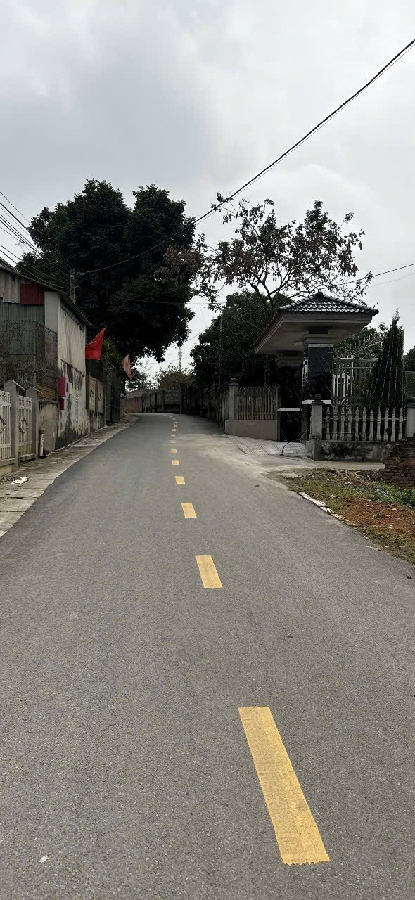 Bán đất 387m² Hy Cương, Việt Trì - Sẵn nhà xưởng kinh doanh