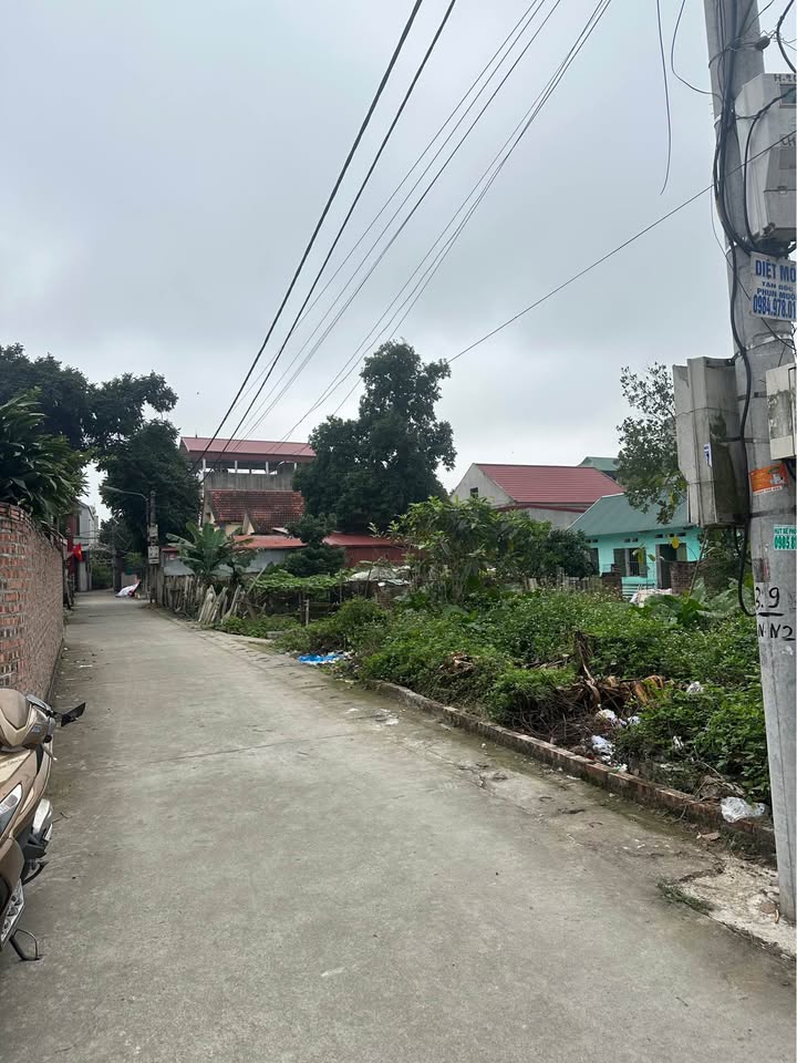 Đất nền Thuận Thành 90m² - Đường ô tô tránh, tiềm năng tăng giá!