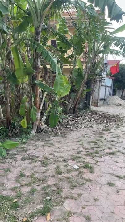 Bán Đất Lương Tài, Bắc Ninh 113m² - Thổ Cư 100%, Sẵn Sổ