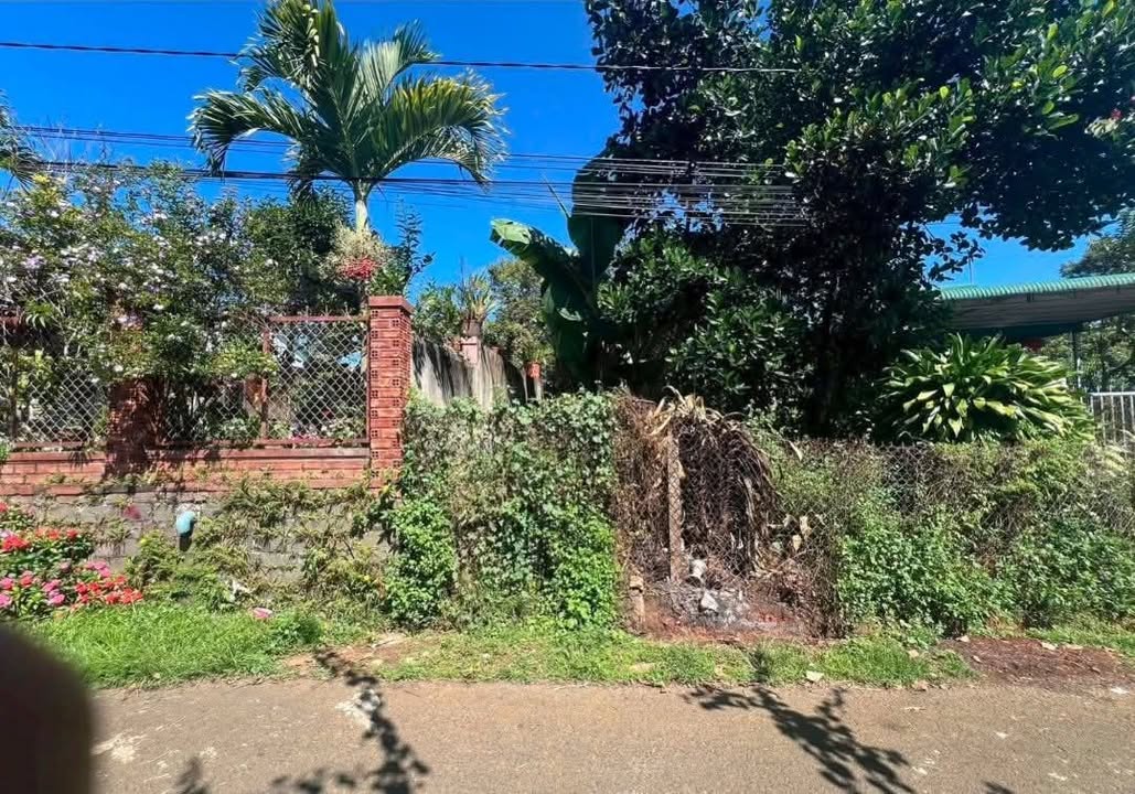 Đất nền mặt tiền Ngô Đức Kế 538m² - Sổ đỏ chính chủ, nở hậu!