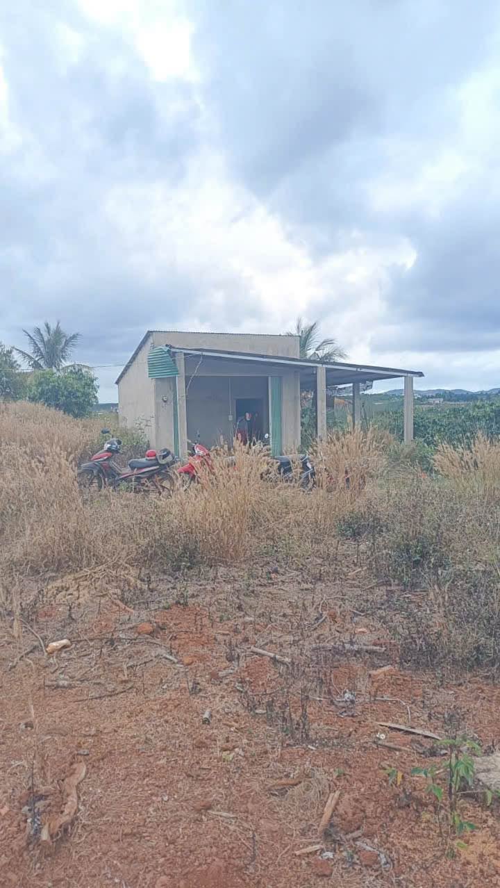 Đất Nền 2100m² Lộc Ngãi, Bảo Lâm - Sổ Hồng, Mặt Tiền Đường Giếng Khoan Giá 780 Triệu