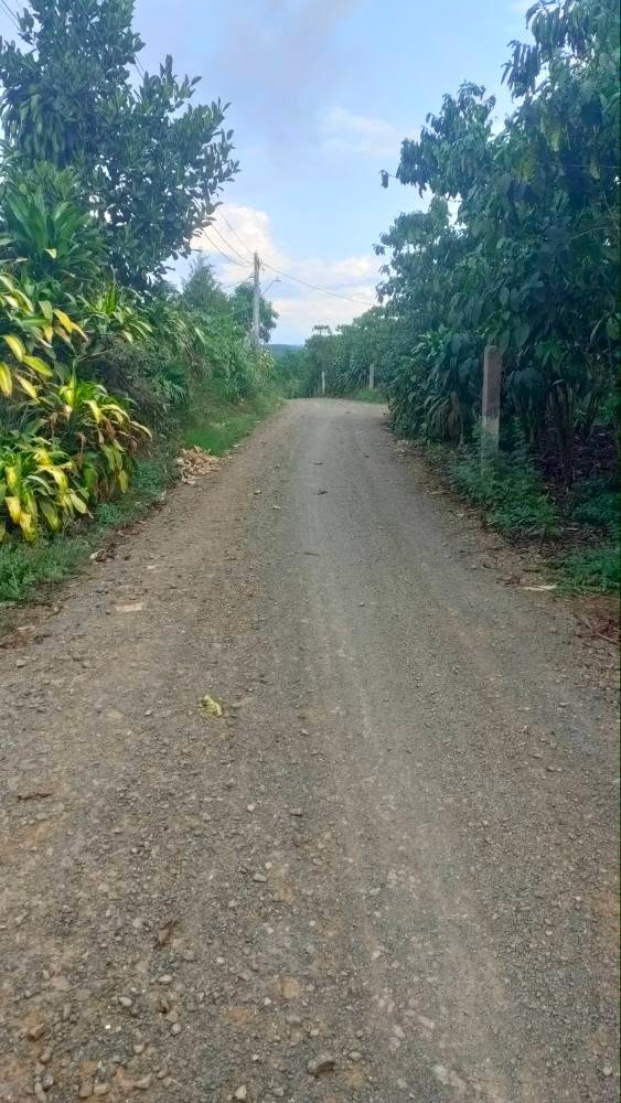 Nhà Lộc Đức, Bảo Lộc 420m² - Chính chủ bán gấp 1.5 tỷ, công chứng ngay!