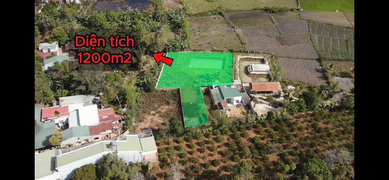 Đất nền Pleiku 1200m² giá 1.55 tỷ - Sổ đỏ, sẵn sàng xây ngay!