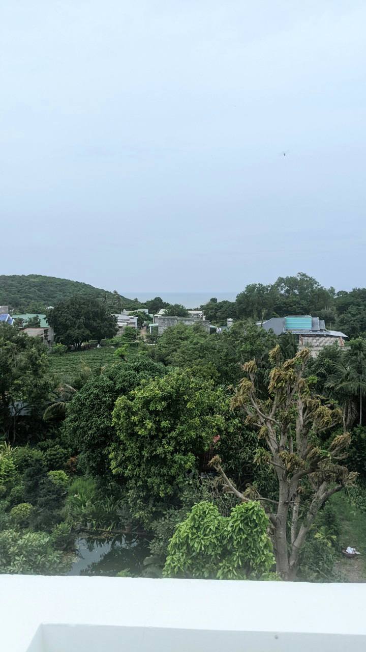 Nhà nghỉ Nguyễn Thông Phan Thiết 220m² đất 8 tỷ - Đầu tư sinh lời!