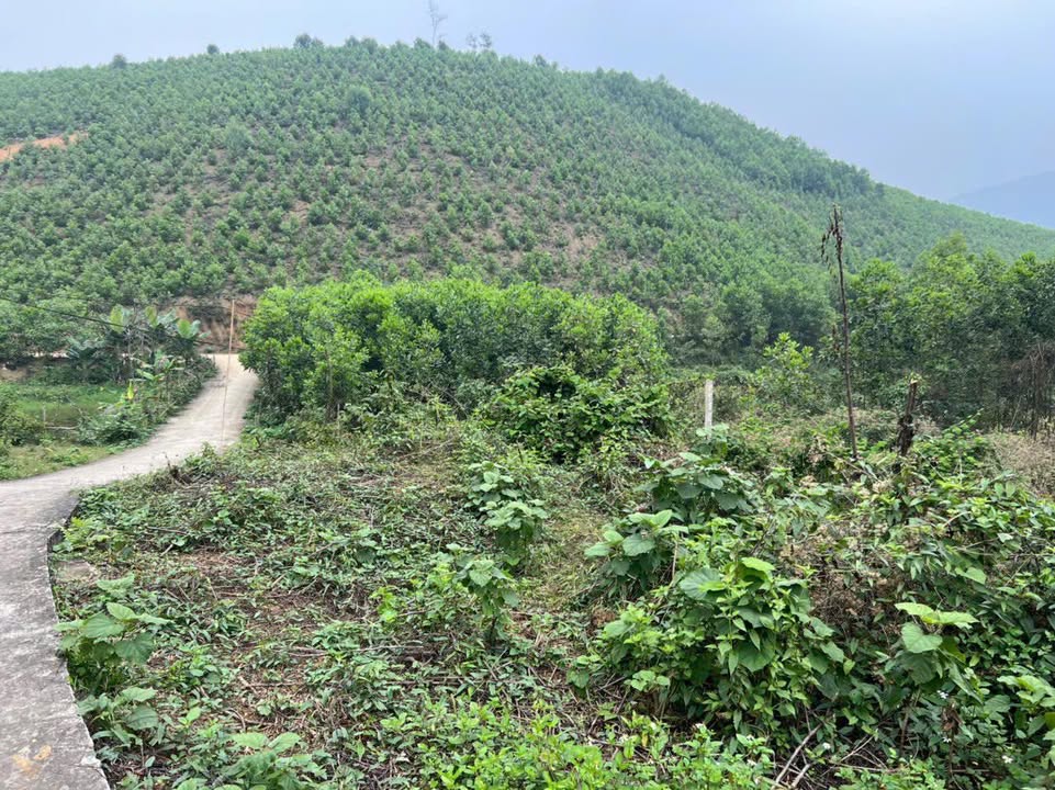 Đất nền Hòa Bình 900m² Xóm Mỵ - Đường to ô tô vào tận nơi