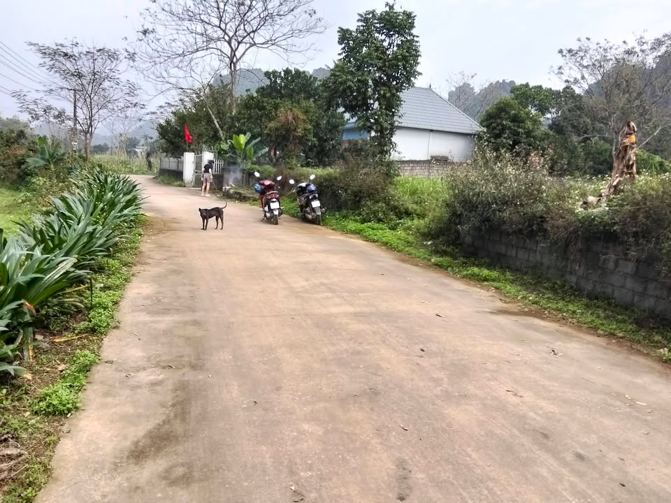 Bán đất Lương Sơn 3630m² - 3.27 tỷ - Sổ đỏ CLN, đường thông ô tô