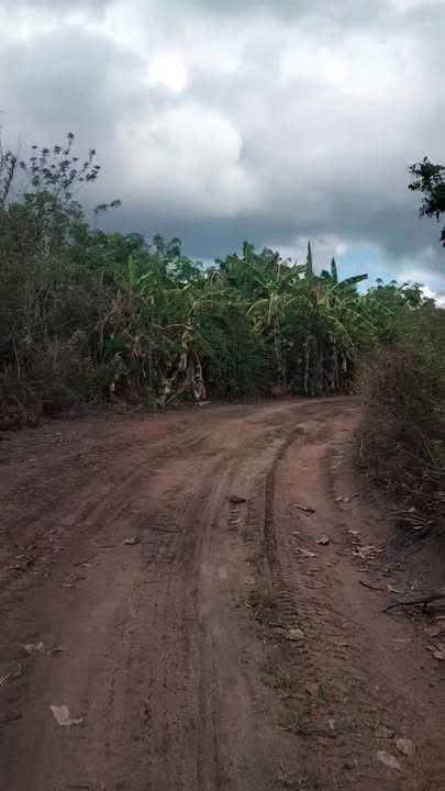 Đất nền Đông Hà, Đức Linh 360m² - Tiềm năng tăng giá vượt trội!