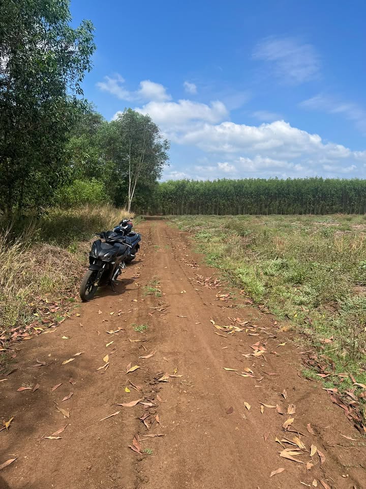 Đất Xuân Thành Đồng Nai 300m² - 2 Sổ Riêng Giá 170 Triệu