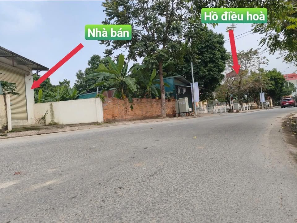 Bán Gấp Nhà Cấp 4 Kèm Đất 100m² Mặt Tiền 5m Phố Tô Hiến Thành, Vĩnh Yên