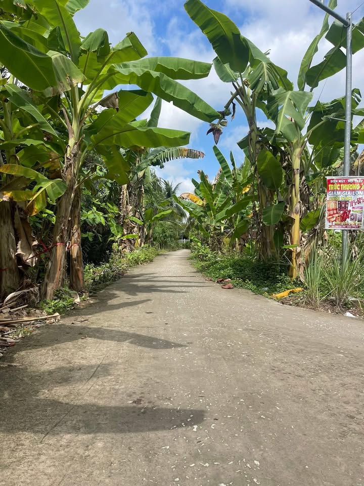 Bán Nền Đất Vườn 205m² Sóc Trăng - Giá 500 Triệu, Sẵn Sổ Hồng