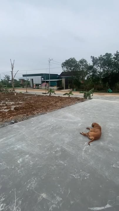 Đất Thổ Cư 150m² Quỳnh Tam, Nghệ An - Giá Hơn 400 Triệu/Lô