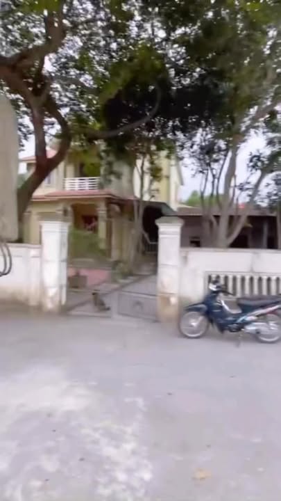 Đất nền Xã Phúc Thọ, TP Vinh 77m² - Tiềm năng tăng giá cực tốt!