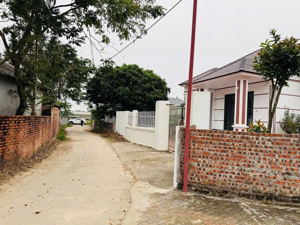 Đất nền Minh Quang Tam Đảo 110m² dưới 800 triệu - Sổ đỏ chính chủ