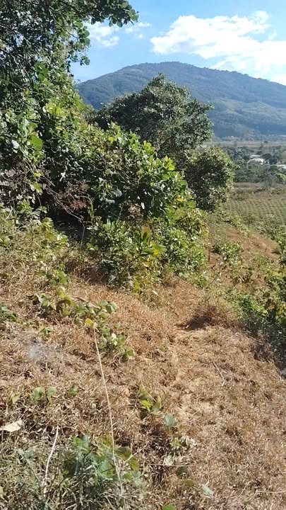 Đất Đạ Long Đam Rông 1800m² - Giá 230 Triệu, Sẵn Sàng Đầu Tư