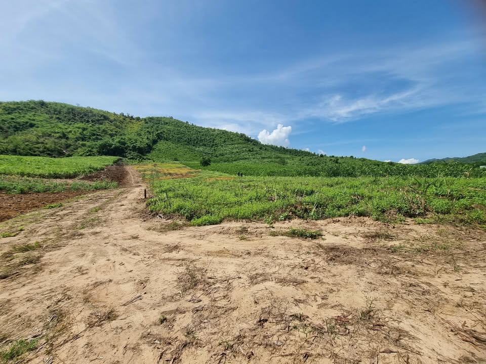 Đất nền Tân Sơn, Ninh Hòa 500m² giá 109 triệu - Đường to ô tô