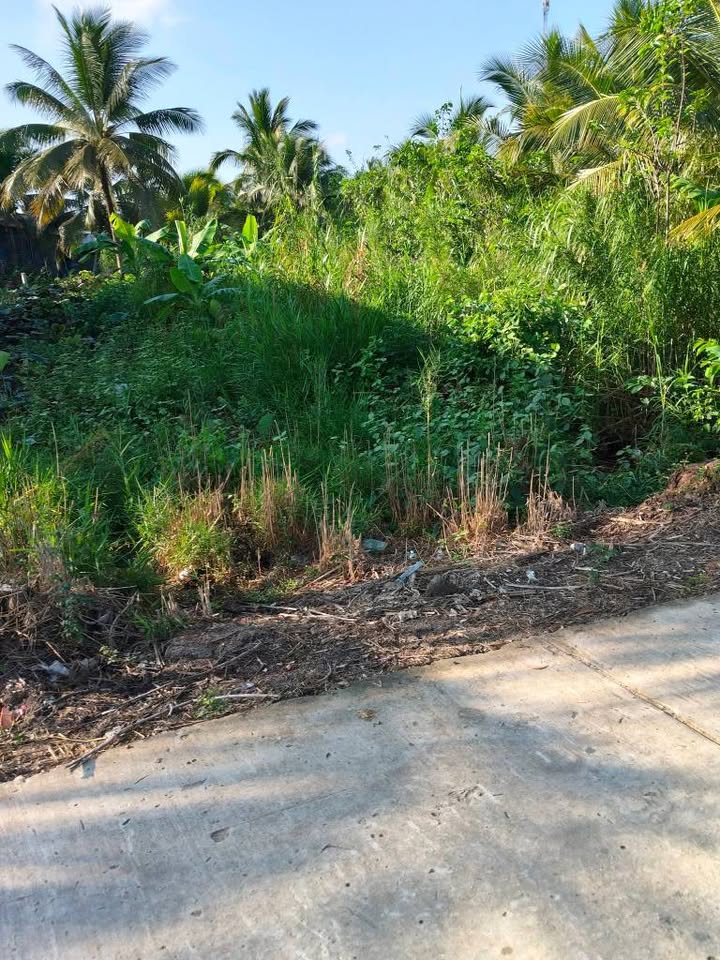 Đất nền Tân Phú, Cái Răng 280m² - Tiềm năng tăng giá vượt trội!