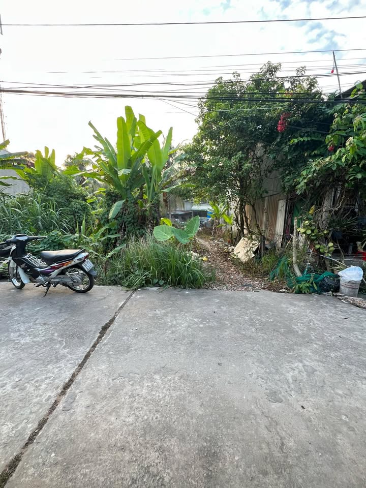 Bán Đất Thổ Cư 75m² Hẻm 205 Trần Quang Diệu, Cần Thơ - Giá 1.189 Tỷ