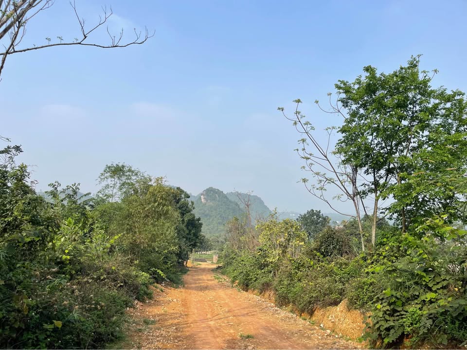 Đất nền Hòa Bình 1000m² sổ đỏ, view thoáng - Giá chỉ hơn 2 tỷ