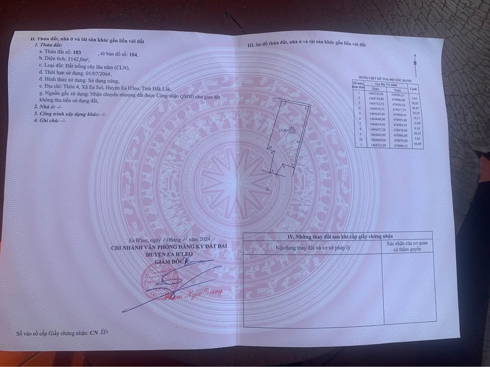 Bán Đất Ea Sol Đắk Lắk 10800m² Trồng Tectona Grandis 4 Năm Tuổi - Giá Tốt