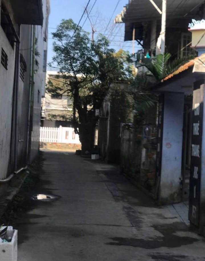 Bán nhà Kiệt Chi Lăng Huế 99m² hơn 1 tỷ - Vị trí đẹp ô tô vào tận nơi!