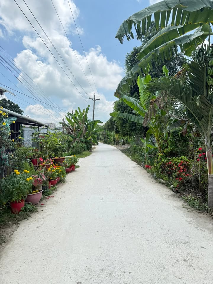 Đất nền An Châu, Châu Thành 91.7m² giá 300 triệu - Pháp lý rõ ràng