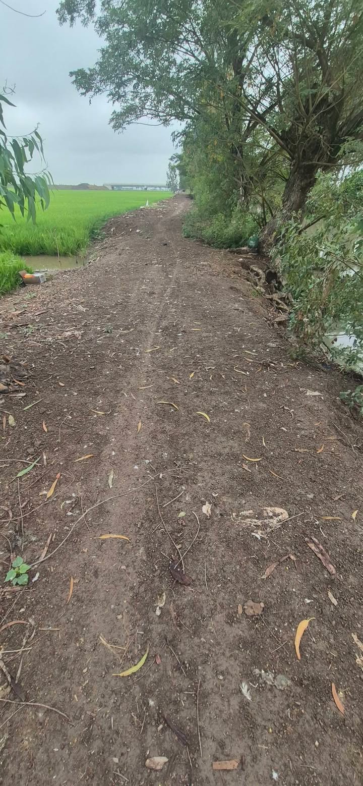 Farm Vĩnh Thành 40000m² giá 6 tỷ - Đường to ô tô 64m