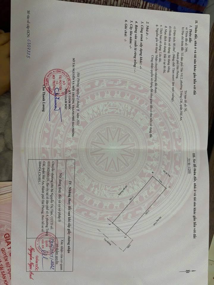 Đất nền Tràng Cát 85m² - Mặt tiền kinh doanh, sinh lời ngay!