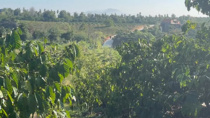 Bán Đất Vườn 4000m² Sổ Hồng Tại Xã Tân Văn, Lâm Hà - Giá Đầu Tư 1.75 Tỷ