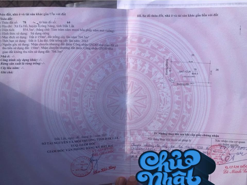 Đất nền Ea H'leo, Đắk Lắk 800m² 1.8 tỷ - Sổ đỏ chính chủ, bán gấp!