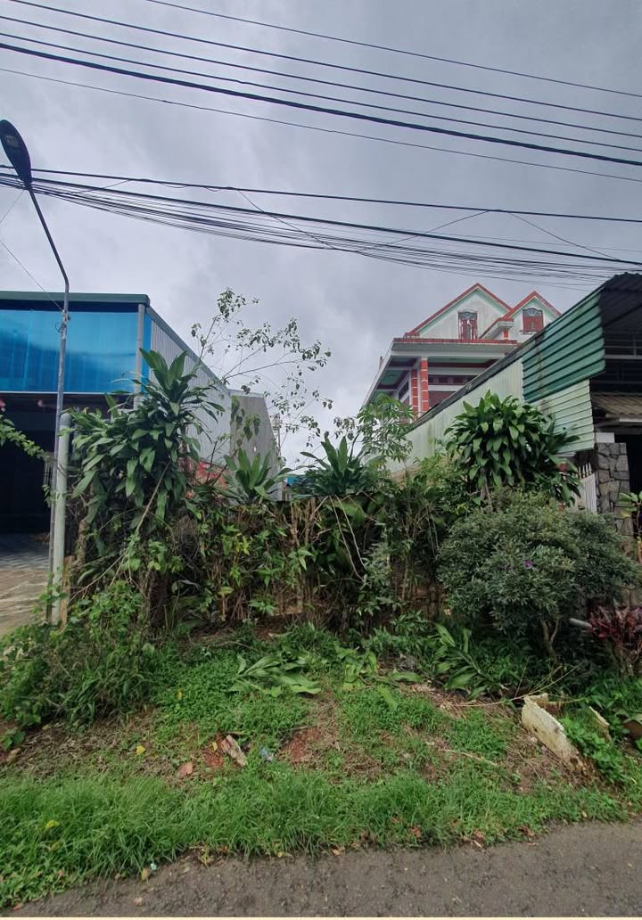 Đất Mặt Tiền Yên Thế, Bảo Lộc 150m² - Vị Trí Vàng Kinh Doanh, Đầu Tư