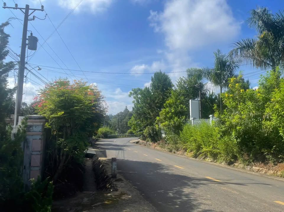 Đất Mặt Tiền Tứ Quý, Bảo Lâm 234m² - Giá Tốt Hơn 650 Triệu