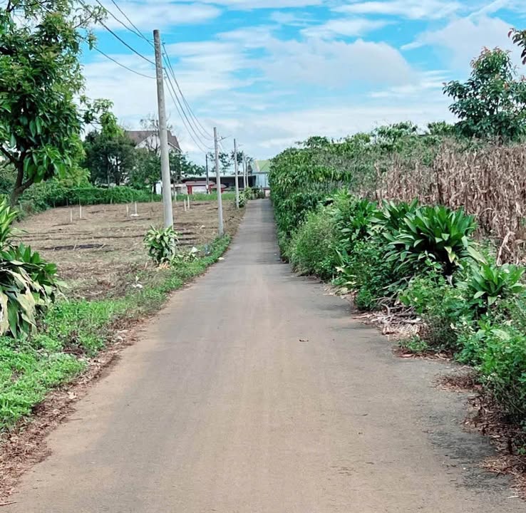 Bán Đất Lộc Ngãi, Bảo Lâm 1020m² Sổ Đỏ - 3 Lô Liền Kề Giá Đầu Tư 1.2 Tỷ