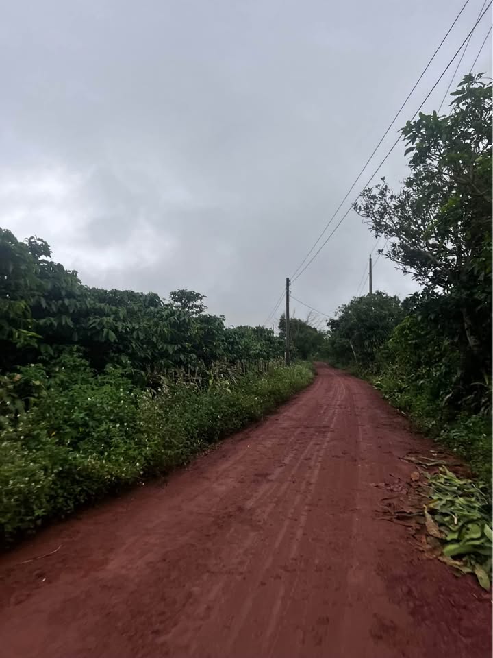 Đất nền Lộc Ngãi Bảo Lâm 8000m² - Sổ đỏ chính chủ!