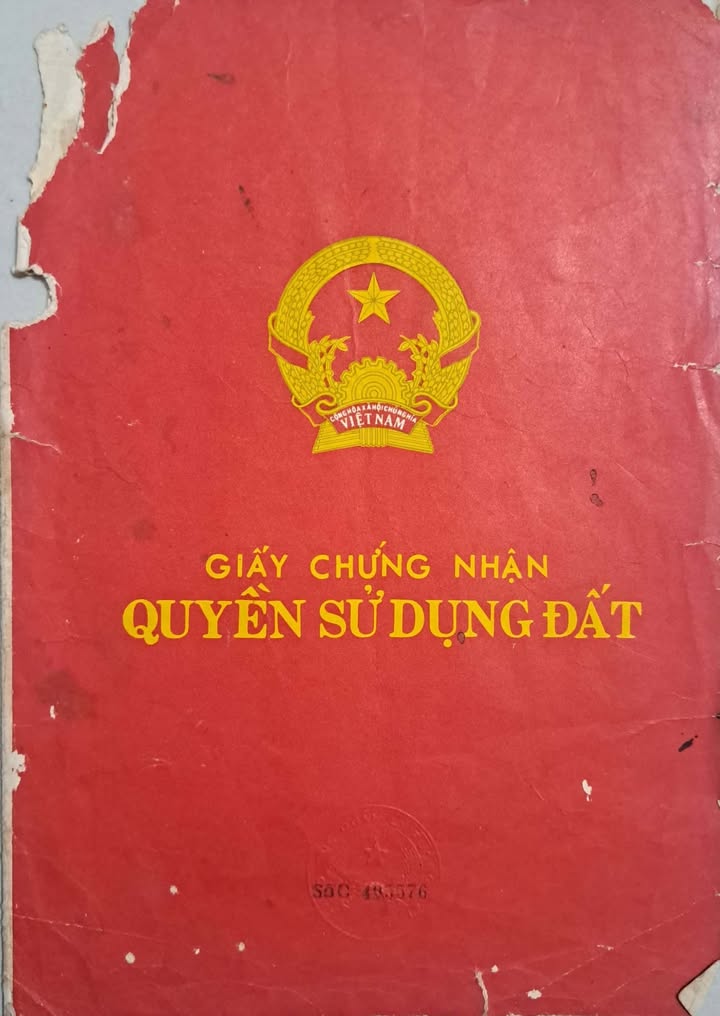 Đất nền Cát Lâm, Phù Cát 700m² - Tiềm năng tăng giá chỉ 175 triệu!