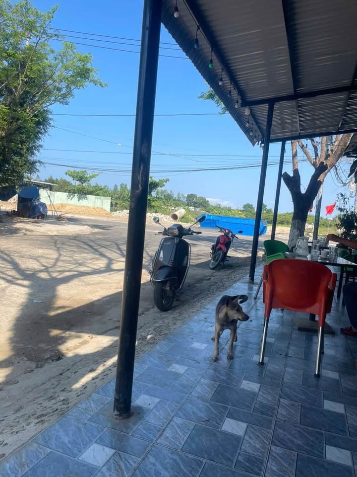 Đất nền Mặt tiền Nam Cao, Liên Chiểu 80m² - Tiềm năng tăng giá vượt trội!